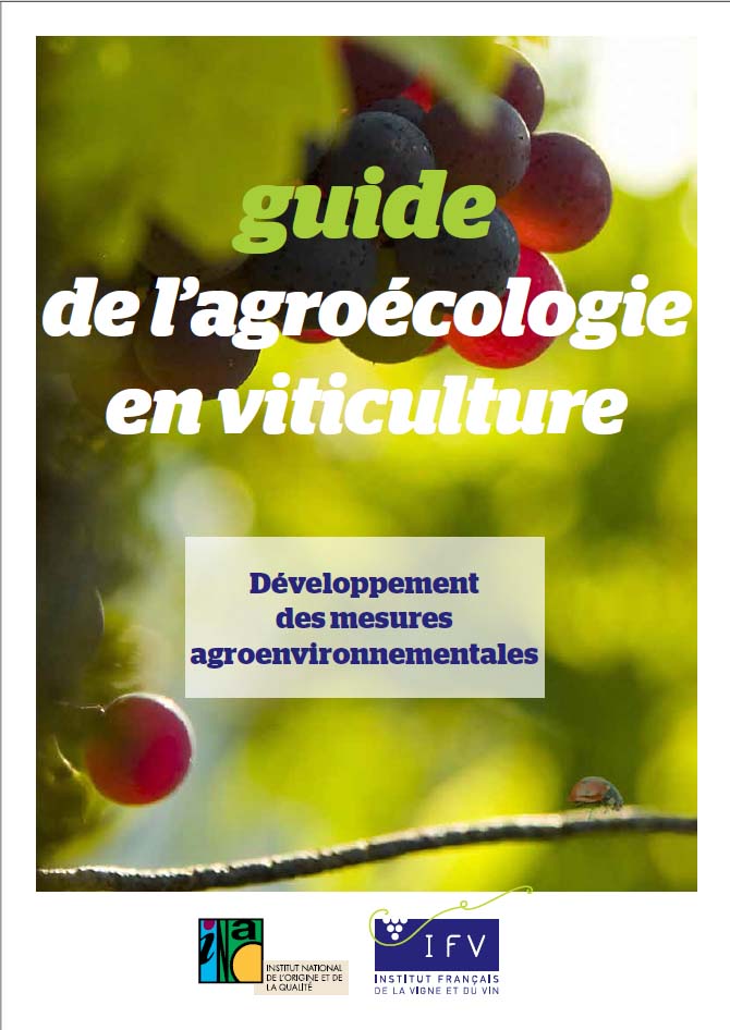 guide IFV agroecologieGT